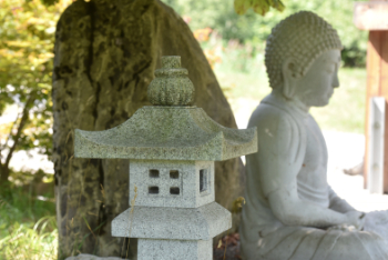 Dai Shin Zen | Zen-Praxis kennenlernen und vertiefen